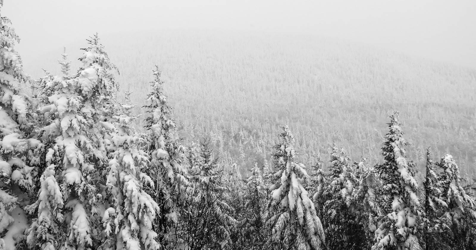 заснеженные горы, зимняя тема