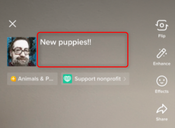 Введите статус трансляции.