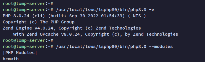 Вывод версии PHP 8.0 и модулей