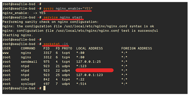 Установка Seafile на FreeBSD с Nginx и Let's Encrypt