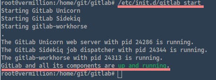 Запуск GitLab: вывод статуса сервиса