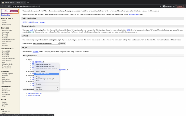 URL для загрузки пакета Apache Tomcat 9