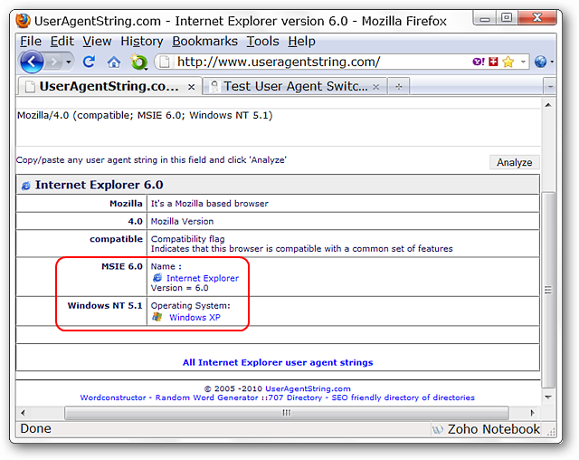 Resultado: identificação como IE 6 em Windows XP