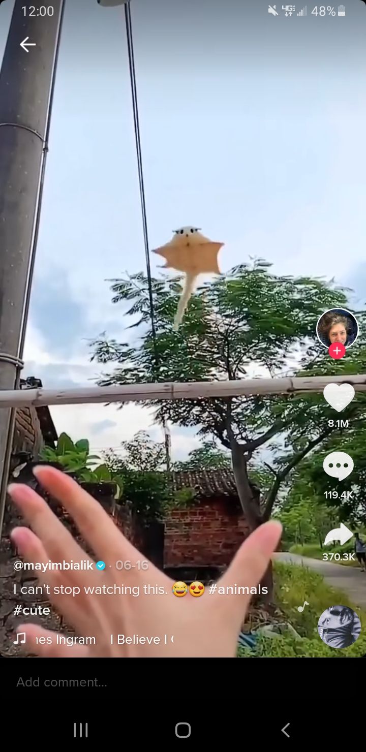Использование песни на TikTok