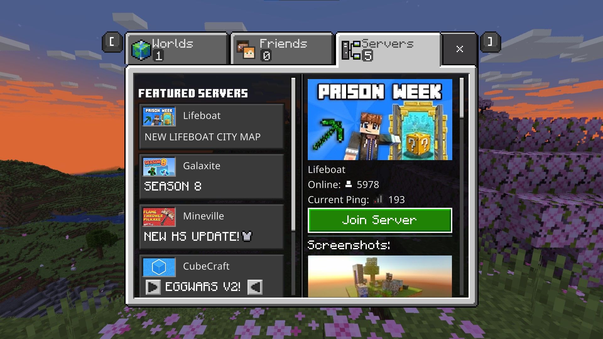 Minecraft Bedrock Edition Servers