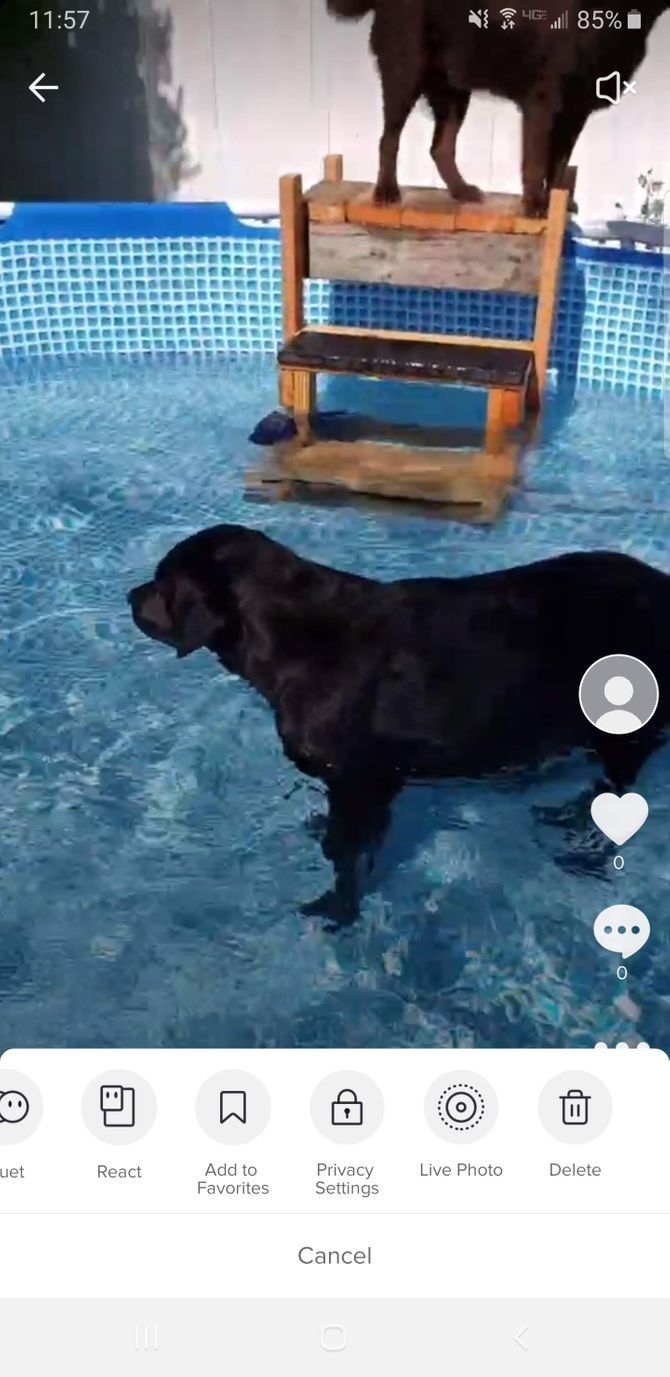 Опции видео в TikTok для удаления