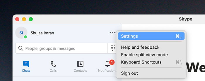Окно настроек Skype