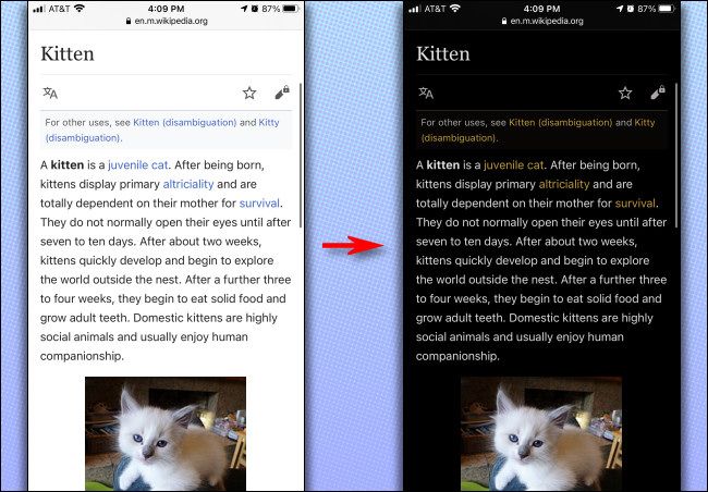 Пример работы Smart Invert на iPhone: тёмный интерфейс, изображения без инверсии