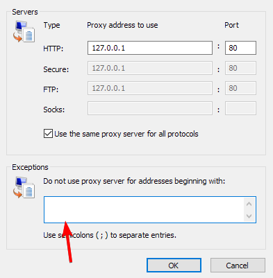 Поле исключений в настройках прокси