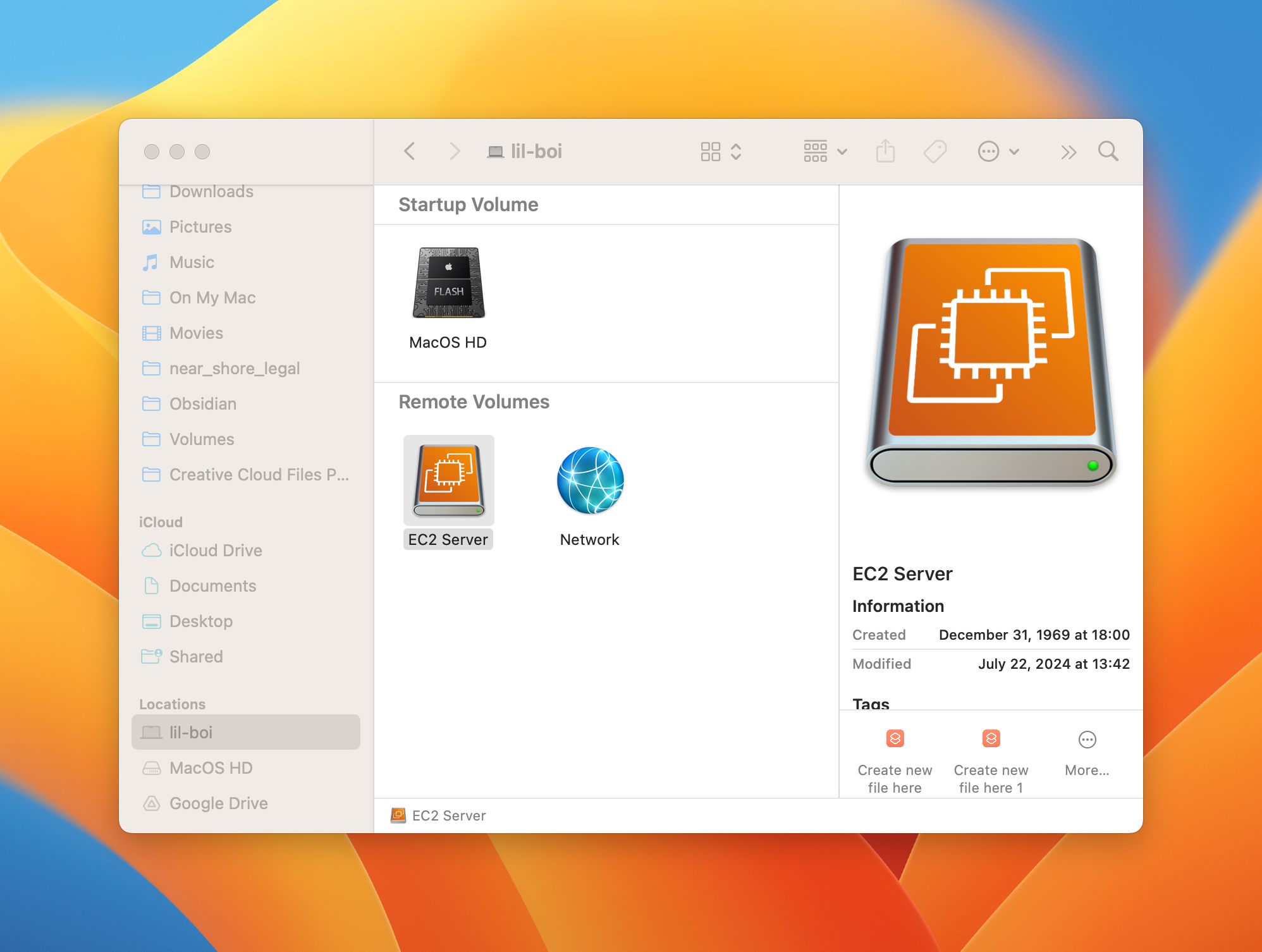 Смонтированный удалённый том с моей пользовательской иконкой.