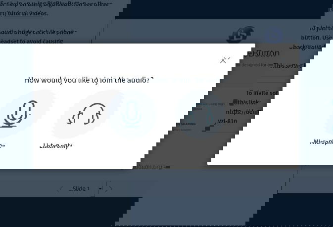 Окно приглашения подключиться к аудио: микрофон или только прослушивание