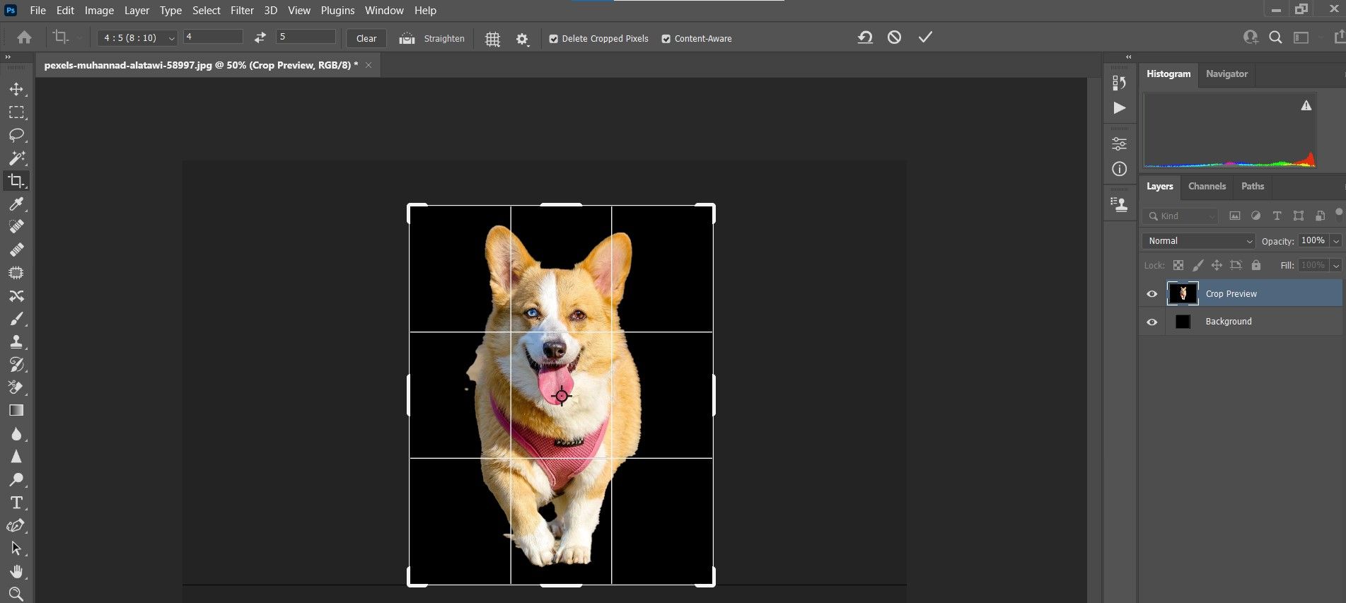 Подгонка рамки вокруг корги