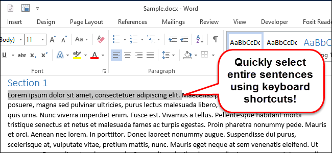 Выделять предложение в Word 2013 — быстрые клавиши