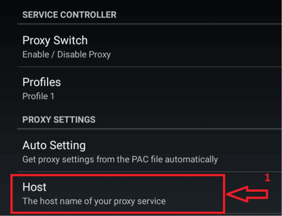 ProxyDroid экран ввода хоста прокси с полями Host и Port