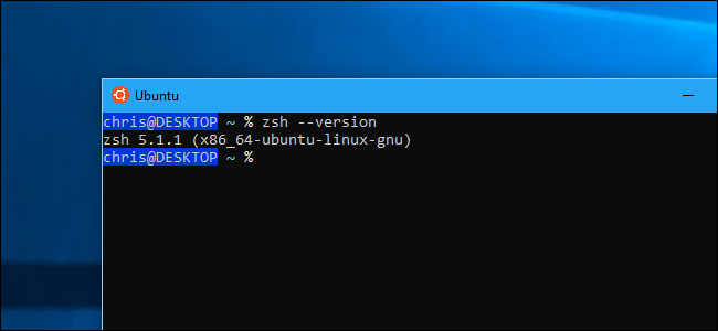 Zsh в Bash на Windows 10: установка и автозапуск