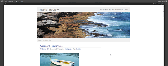 Список доступных тем WordPress