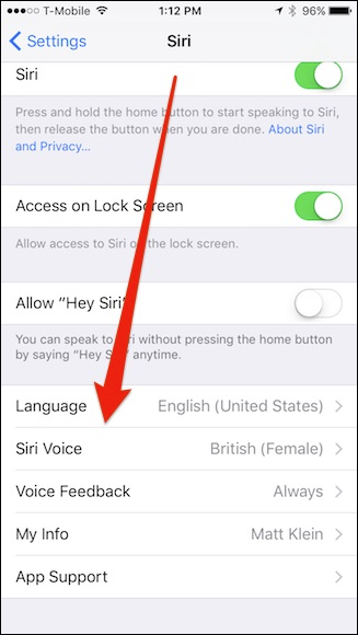 Параметр Siri Voice в iOS: выбор акцента и пола голоса