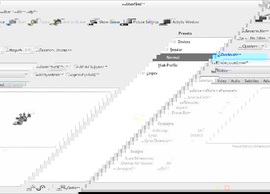 Окно HandBrake при выборе источника и формата для рипа DVD