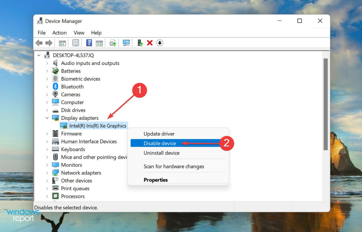 Disable display adapter to fix resident evil 7 fatal application exit