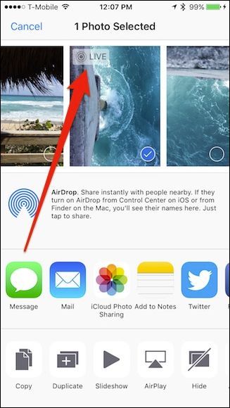 Пример миниатюры Live Photo в галерее