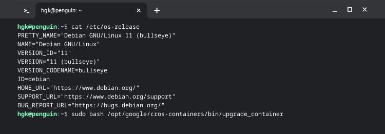 Проверка версии Linux и обновление контейнера на ChromeOS