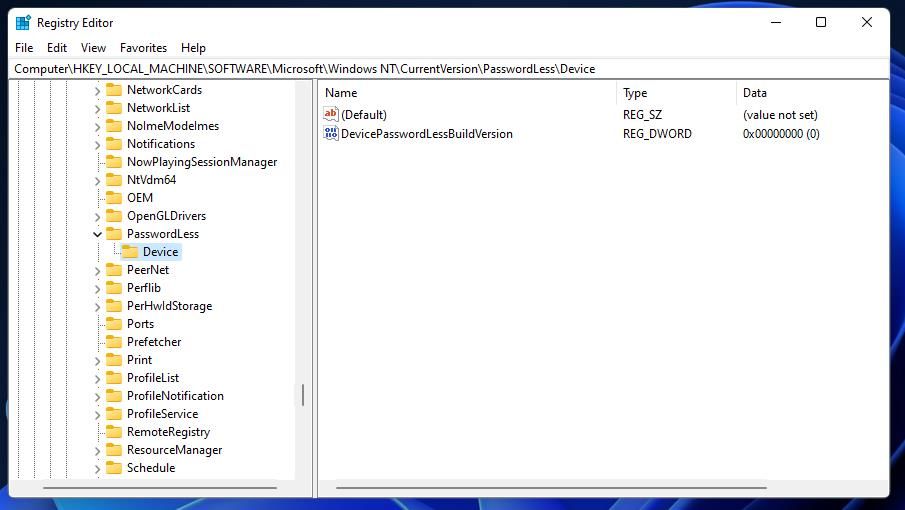 Раздел Device в редакторе реестра