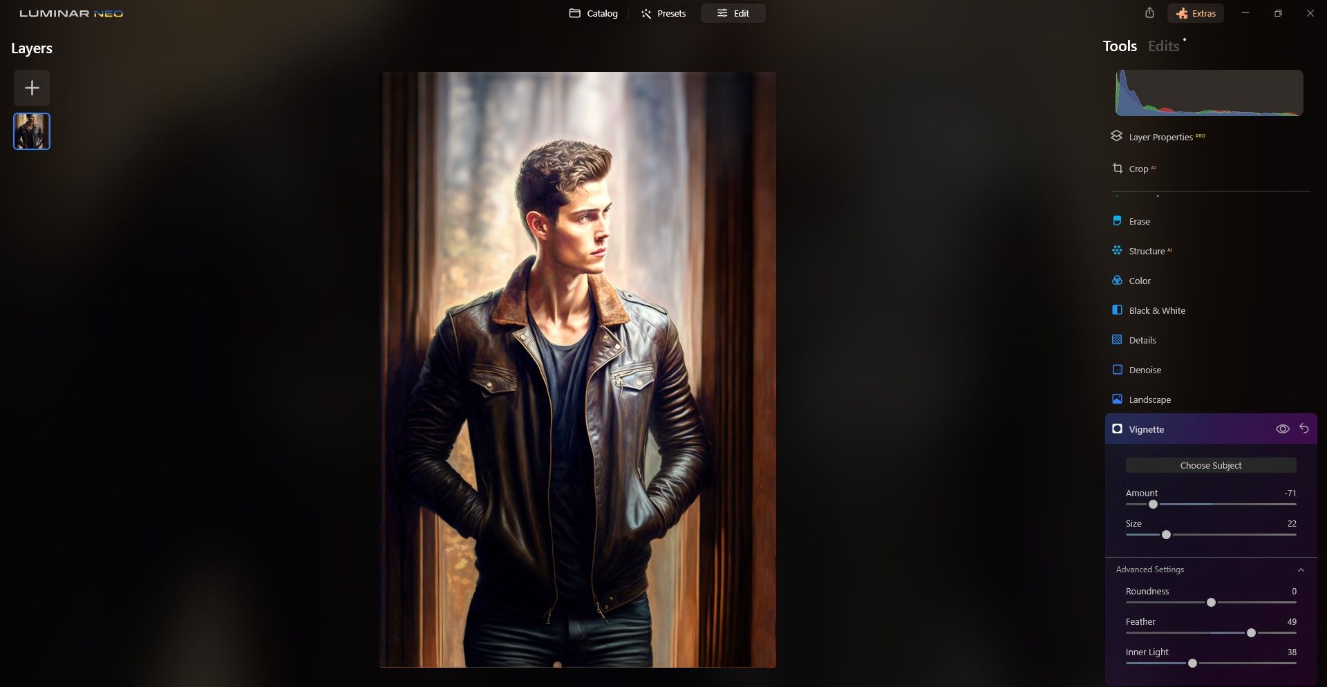 Пример виньетки с параметрами Feather и Inner Light