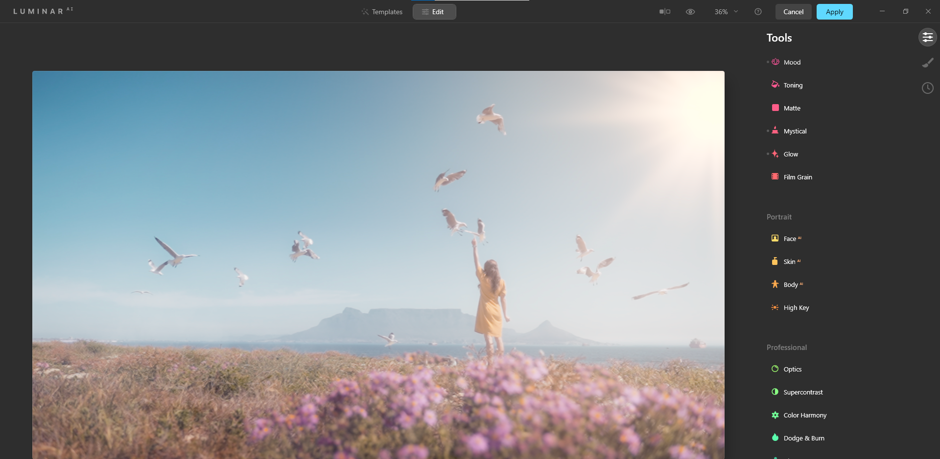 Версия кадра после обработки в Luminar AI с добавленным солнцем и тёплыми тонами