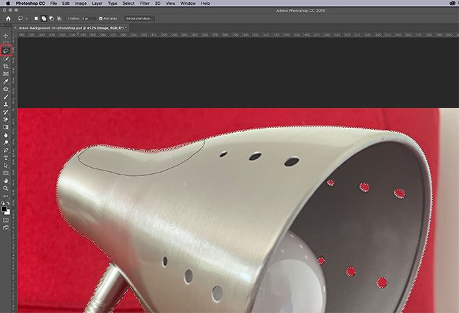 Use the Lasso Tool to Adjust Your Selection