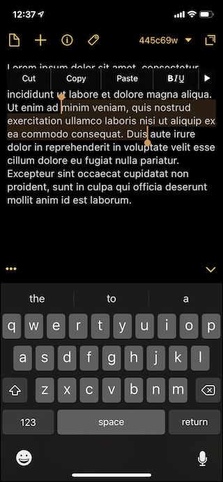 Выделение текста на iPhone с маркерами захвата