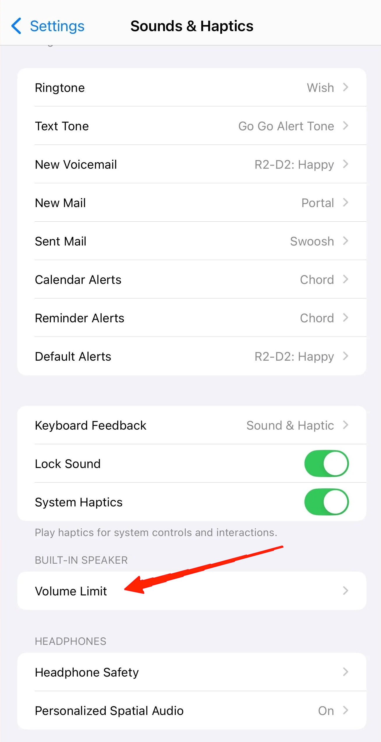 Секция Built-in Speaker с опцией Volume Limit