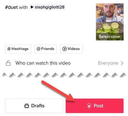 Заполните детали видео и нажмите «Post».
