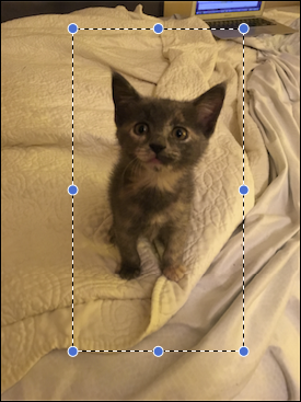 Финальное кадрирование для iPhone