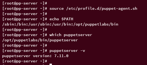 Проверка puppetserver