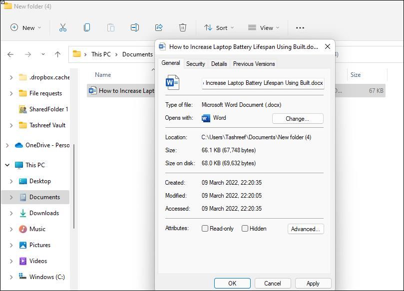 Свойства файла Windows, опция Только для чтения