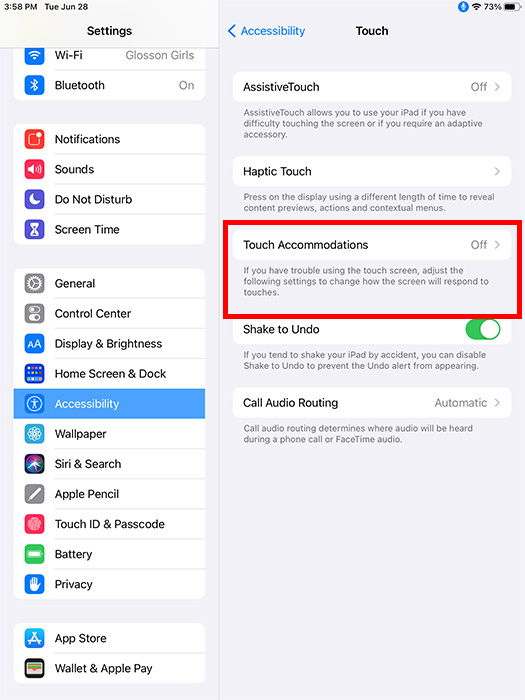 Touch Accommodations активирован