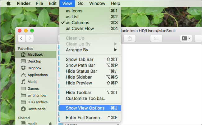 Окно «Показать параметры отображения» в Finder с опцией «Показать папку Library»