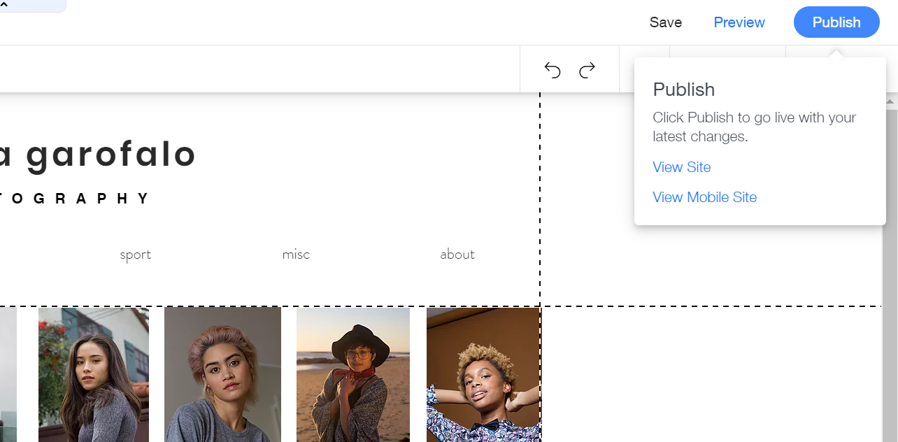 Сохранение сайта в Wix