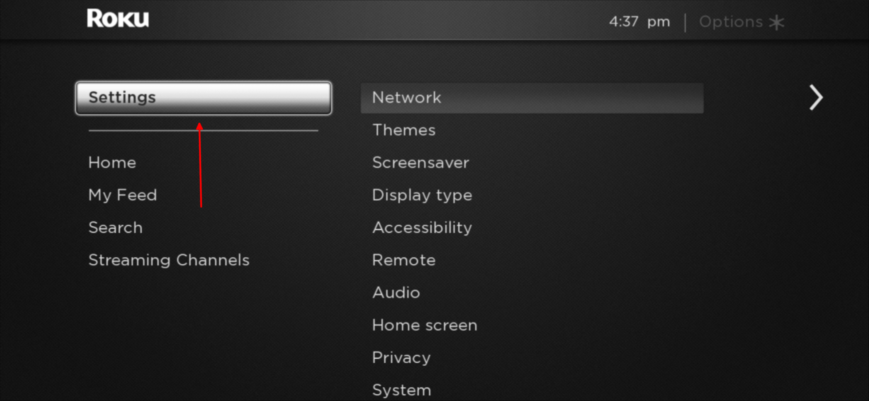 Экран настроек Roku