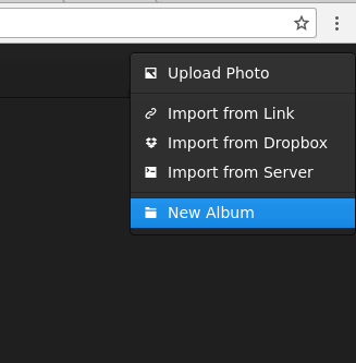 Создание нового альбома в Lychee
