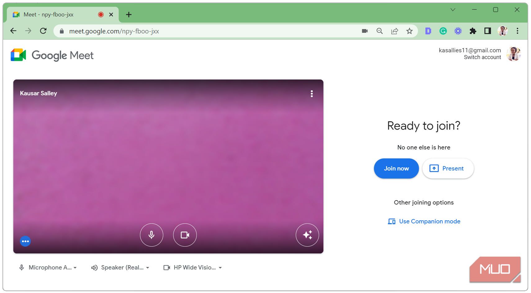 Включите или выключите камеру и микрофон и начните демонстрацию