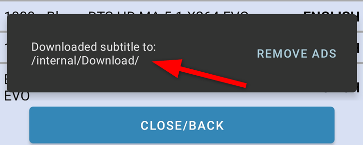 Сообщение об успешной загрузке файла субтитров с указанием пути