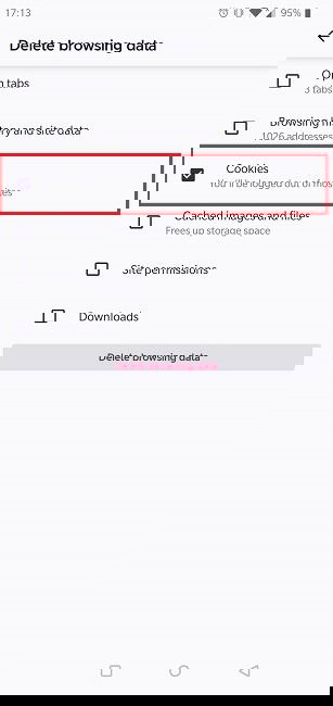 Удаление cookie в Firefox