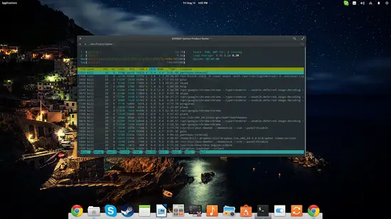 htop 인터페이스