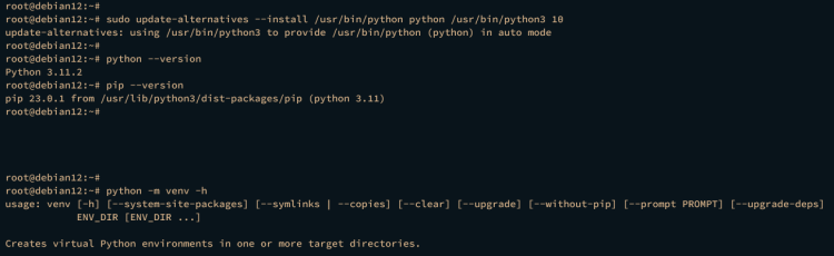 проверка python