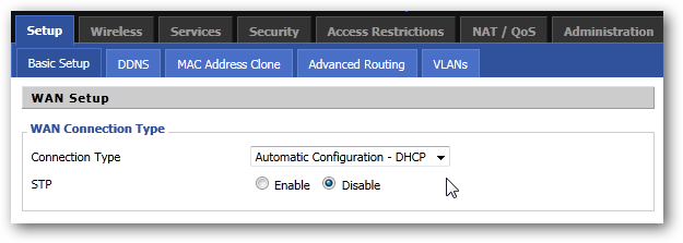 Скриншот раздела Basic Setup в DD-WRT