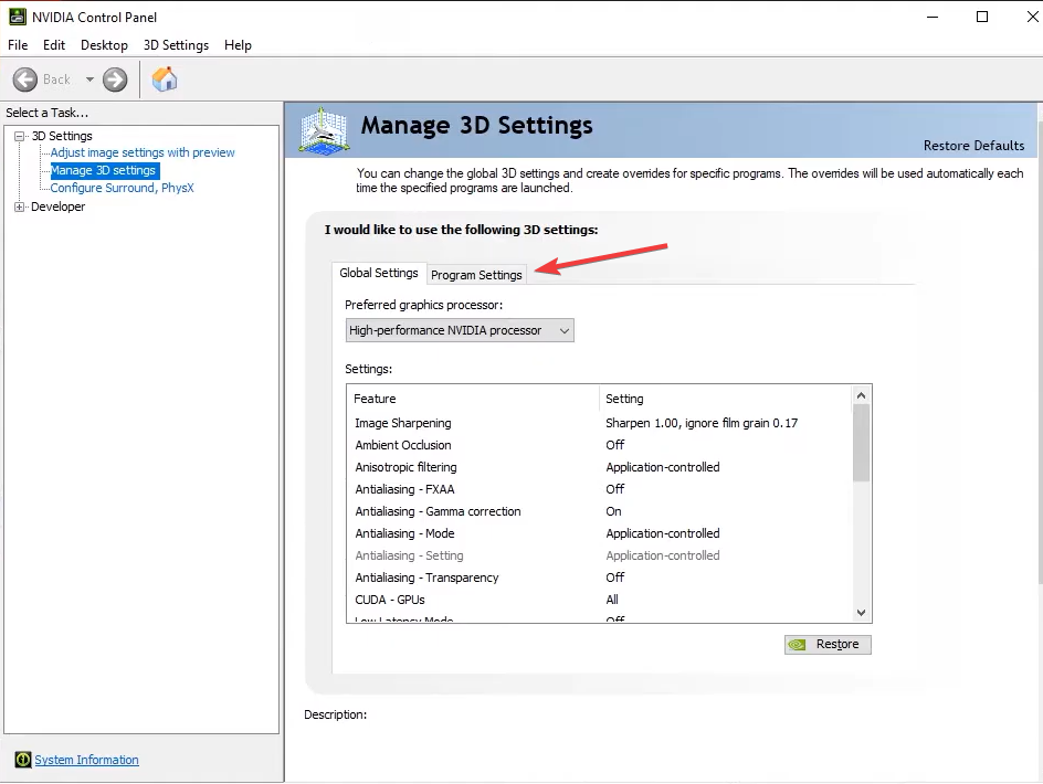 Настройки программы для исправления Path of Exile