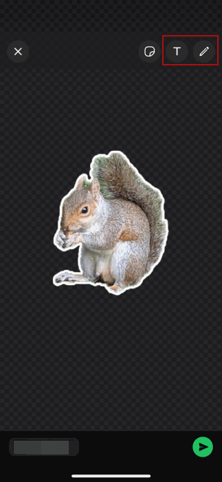 Modifica dello sticker in WhatsApp con strumenti di disegno e testo