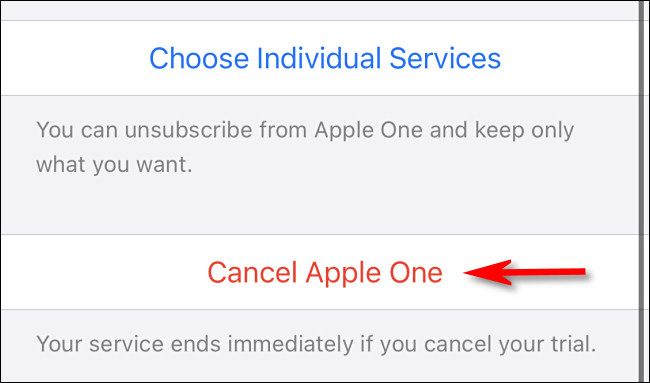 Подтверждение отмены Apple One