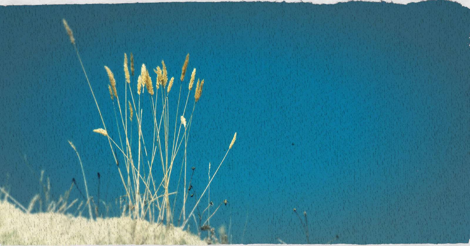 Пример готовых обоев на рабочем столе